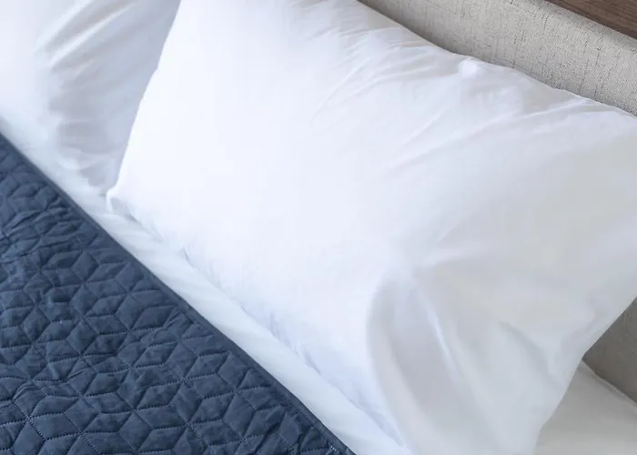 Secret Oasis Apmts 3 公寓 *